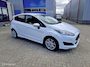 Ford Fiesta 1.0 EcoBoost Hot Hatch 99157 km Edition 434/500