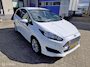 Ford Fiesta 1.0 EcoBoost Hot Hatch 99157 km Edition 434/500