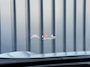 Toyota Yaris Cross 1.5 Hybrid 130 Launch Edition | Innovation Pack | Pano dak | 360 camera | JBL | Rijklaar!!