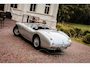 Austin Healey 100 BN2