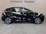 Ford Puma 1.0 EcoBoost Hybrid ST-Line Acc Carplay Led Stoelverw, Camera Incl 12Mnd Garantie