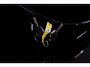 smart Forfour 1.0 Pure NAP Cruise Control Bluetooth Airco Rijklaar!