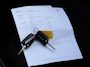 Volkswagen T-Cross 1.0 TSI Life | CAMERA | NAVI | ADAPT. CRUISE | AIRCO | APPLE CARPLAY
