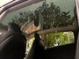 Tesla Model Y Long Range AWD 75 kWh SOH 88,3%