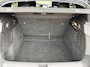 Renault Scenic E-Tech EV87 long range esprit Alpine | SoH 98% | elektr.achterklep | all season | massage | tijdelijk gratis Top Afleverpakket twv Eur 695