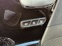 Kia Niro EV e-Niro DynamicPlusLine 64 kWh SOH 92 % I JBL audio I Open dak I Stoelverwarming en koeling
