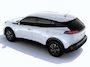 Peugeot e-2008 EV Business 54 kWh DIRECT RIJDEN - RIJKLAAR - 8 JAAR GARANTIE