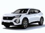 Peugeot e-2008 EV Business 54 kWh DIRECT RIJDEN - RIJKLAAR - 8 JAAR GARANTIE