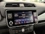 Nissan Leaf e+ Tekna 59 kWh SoH 95.4%