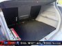 Renault Scenic 2.0-16V Privilège Luxe|136dkm|NAP|Autom.|Leer|APK