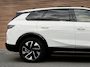 Opel Grandland Electric Business Edition 73 kWh