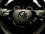 Skoda Fabia 1.0 MPI Ambition Apple CarPlay/Android Auto Cruise Climate 194