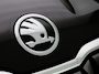Skoda Karoq 1.0 TSI Business Edition | STUURVERWARMING | STOELVERWARMING | ELEKTRISCHE ACHTERKLEP | PARKEERSENSOREN | NAVIGATIE |