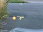 BMW X5 xDrive45e High Executive I Pano I Luchtvering I