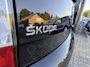 Skoda Citigo 1.0 Greentech Arctic | AIRCO | 117.482 KM | LMV | ELEK.PAKKET | UPGRADE MOGELIJK |