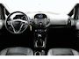 Ford B-Max 1.0 ECOBOOST TITANIUM 100PK ECC/BLUETOOTH/CRUISE/PARK.SENS/STOEL.VERWARM/TREKHAAK