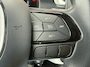 Fiat Panda 1.0 Hybrid Pandina