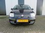 Fiat Panda 1.2 Edizione Cool