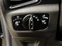 Ford EcoSport 1.0 EcoBoost Titanium | Cruise | Airco | Parkeersensor | Dealer