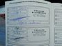 Ford Focus 1.5i 150pk Titanium Automaat Clima Navi Trekhaak 1500kg.