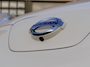 Nissan Leaf 30kWh TEKNA/ TREKHAAK/ LEER/ 360° CAMERA/ BOSE AUDIO/ PDC ACHTER