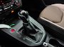 SEAT Ibiza Occasion 1.0 TSI FR Business Intense | Grijs | Tweedehands Seat Ibiza | Cruise | Airco | Camera | Trekhaak | Carplay