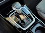 Kia ProCeed 1.6 T-GDI GT 2022 AUT PANO NAP FULL Option!