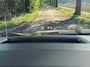 Ford Kuga FORD Kuga 2.5 PHEV e-CVT 225pk ST-Line X | NL Auto | Trekhaak | Pano | B&O | Winterpakket | HUD | ACC | Elektrische Stoelen |