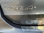 Mercedes-Benz EQA 250+ BNS SOL LUX