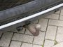 DS 7 Crossback 1.6 225pk Executive | Schuifdak | Trekhaak | Lederen bekleding | Navigatie | Camera
