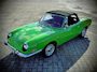 Fiat 850 Spider / Verde Chiaro 329 / Older restoration / 1972 / NICE CONDITION!