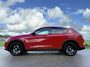 Alfa Romeo Stelvio 2.0 T AWD First Edition Autmaat - Camera - Leder - Navi - Stuur- & Stoelverwarming - Trekhaak - PDC - Cruise