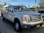 Ford F-150 5.4 V8 6-Persoons Dubbel Cabine 2011 Lange Bak