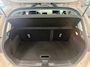 Ford Fiesta 1.0 ECOBOOST | VIGNALE | WINTER PACK | DRIVER PACK | NL-AUTO |