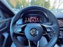Skoda Kodiaq 1.5 TSI Business Edition Plus 7p. Sportline, Pano, Trekhaak, Leder/Alcantara