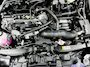 Toyota Yaris 1.5 Hybrid 115 Dynamic | Cruise Control Adaptief | Achteruitrijcamera |