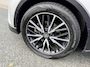 Toyota C-HR / C-HR+ 1.8 Hybrid 122PK AUT Executive•Leder•ACC
