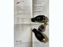 Mercedes-Benz B-klasse 180 Ambition Aut. DCT7 / A.C. / PDC