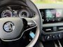 Skoda Kamiq 1.0 TSI Ambition / Airco / Panoramadak / SmartLink / Cruise Control /