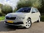Skoda Kamiq 1.0 TSI Ambition / Airco / Panoramadak / SmartLink / Cruise Control /