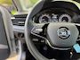 Skoda Kamiq 1.0 TSI Ambition / Airco / Panoramadak / SmartLink / Cruise Control /