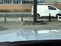 Toyota Land Cruiser 2.8 D-4D Blind Van Professional