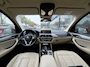 BMW X3 xDrive20i High Executive | Panoramadak | Achteruitrijcamera | Cruise Control