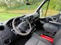 Opel Movano | Lift | 9 persoons |