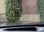 BMW 5-Serie 530d High Executive M-Pakket*Pano*Head-Up*Memory