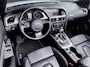 Audi A5 Cabriolet 2.0 TFSI Quattro 3x S Line LEDER|NEKVERWARMING
