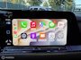 Volkswagen Golf 1.5 eTSI R-Line / PANO/CAM/CARPLAY/ACC