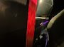 Volkswagen Golf 2.0 TSI GTI Clubsport Pano|Akrapovic|Keyless|ACC|Lane Assist