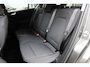 Ford Focus 1.0 EcoBoost Titanium Business Carplay | Trekhaak | All seasons