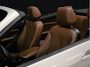 BMW 2-Serie Cabrio 218i Centennial High Executive [CRUISE CONTROL, STOELVERWARMING, PDC V+A, LEDER, CABRIO, NAVIGATIE, BLUETOOTH, CLIMATE CONTROL, RADIO, MULTIFUNCTIONEEL STUURWIEL, AIRCO, XENON KOPLAMPEN, NIEUWSTAAT]